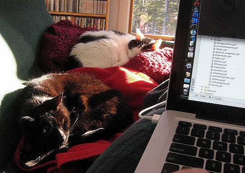 CTR Commuter Diversity: Telecommuting